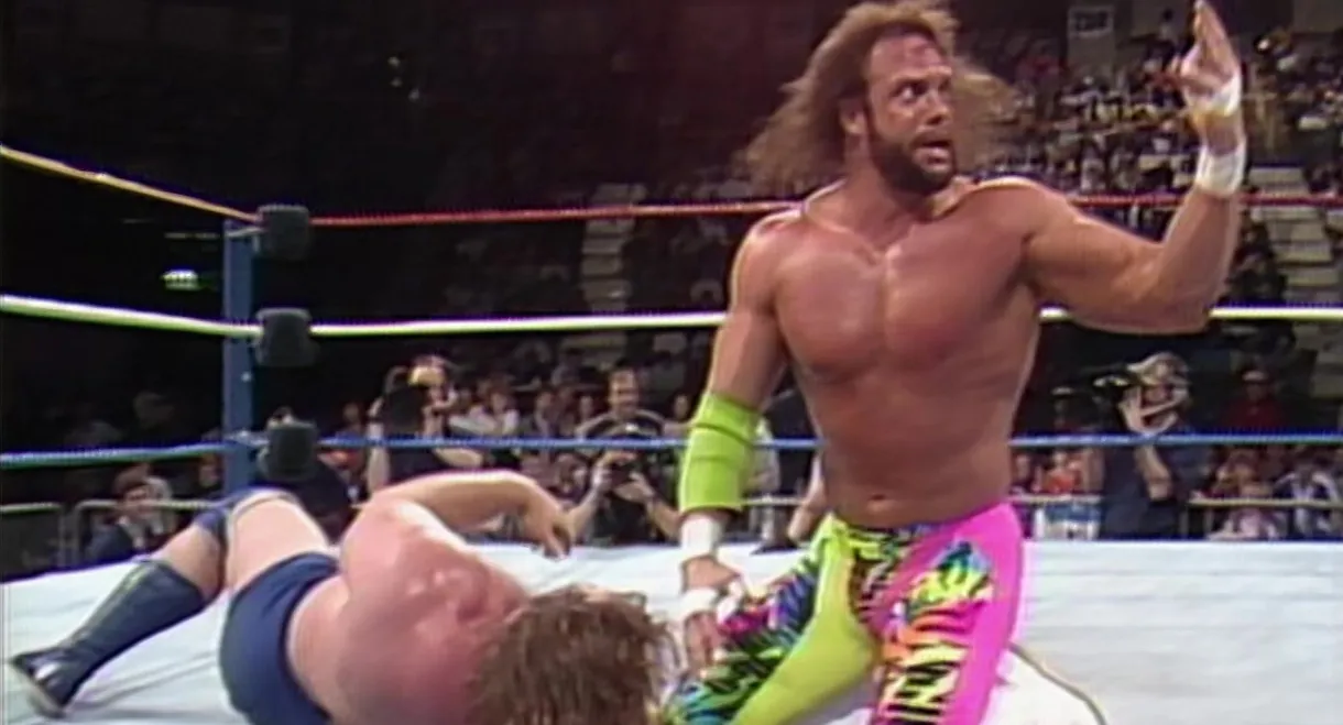 WWE SuperTape: Volume 2