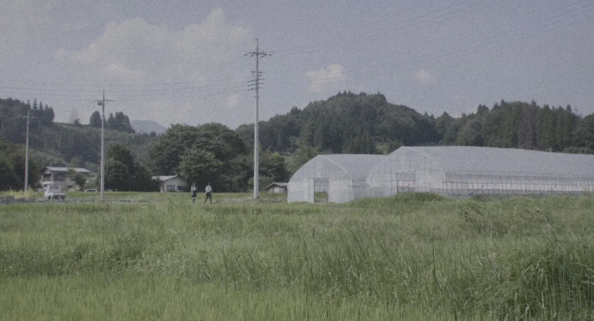 How to Identify the Right Bus