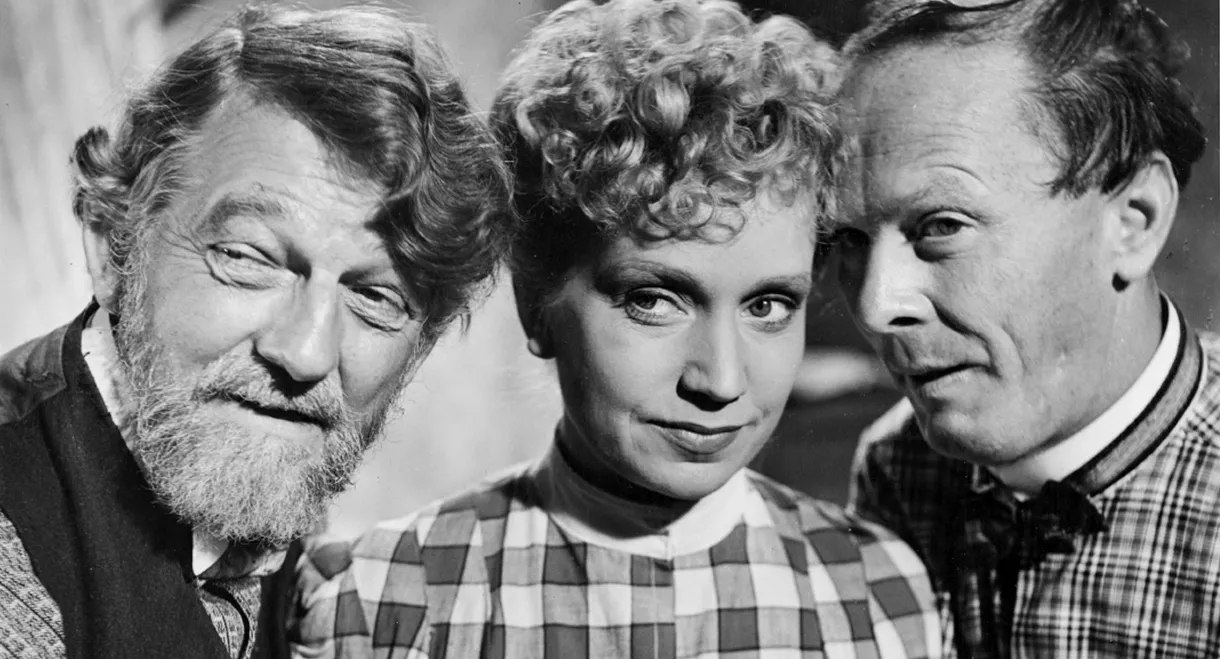 The Bachelor Brothers’ Housekeeper