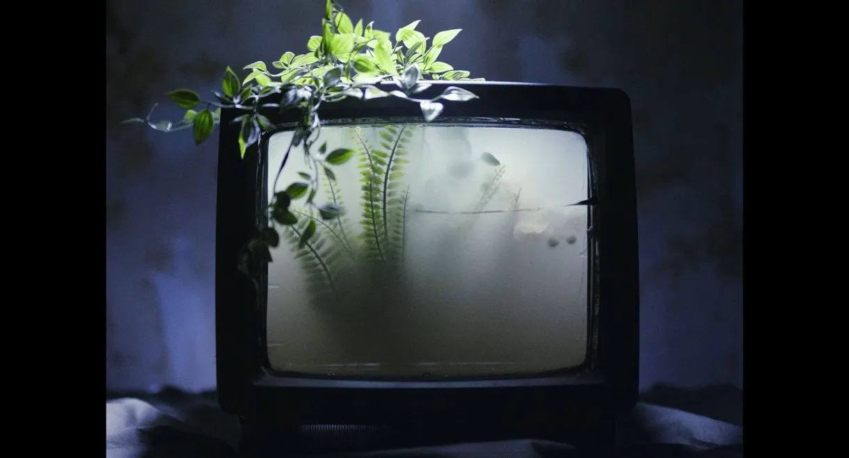 What the Water Gave Us