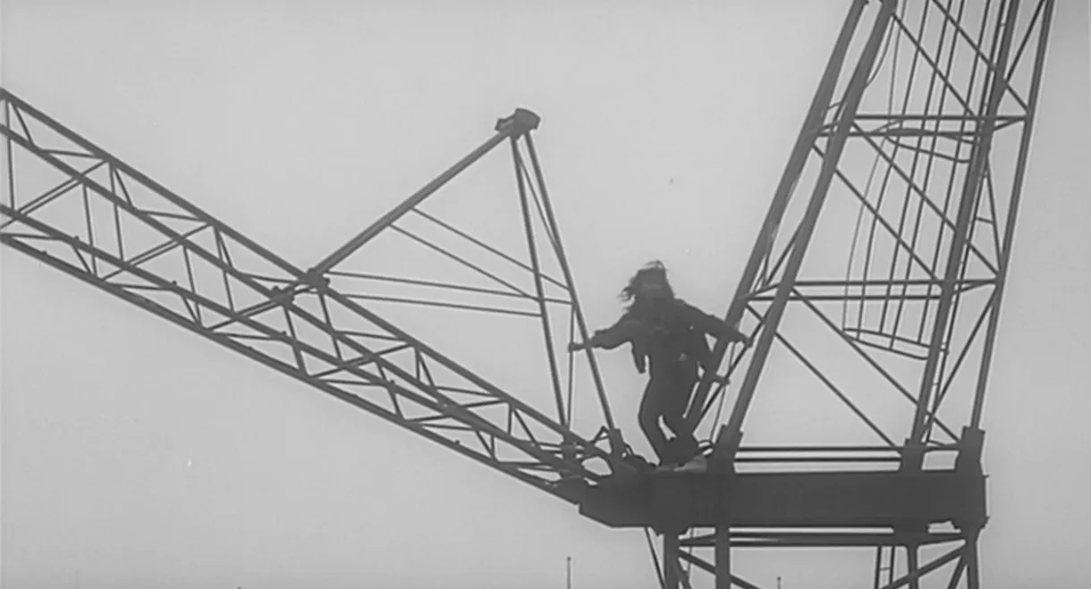 From the Reports of Security Guards & Patrol Services No.1