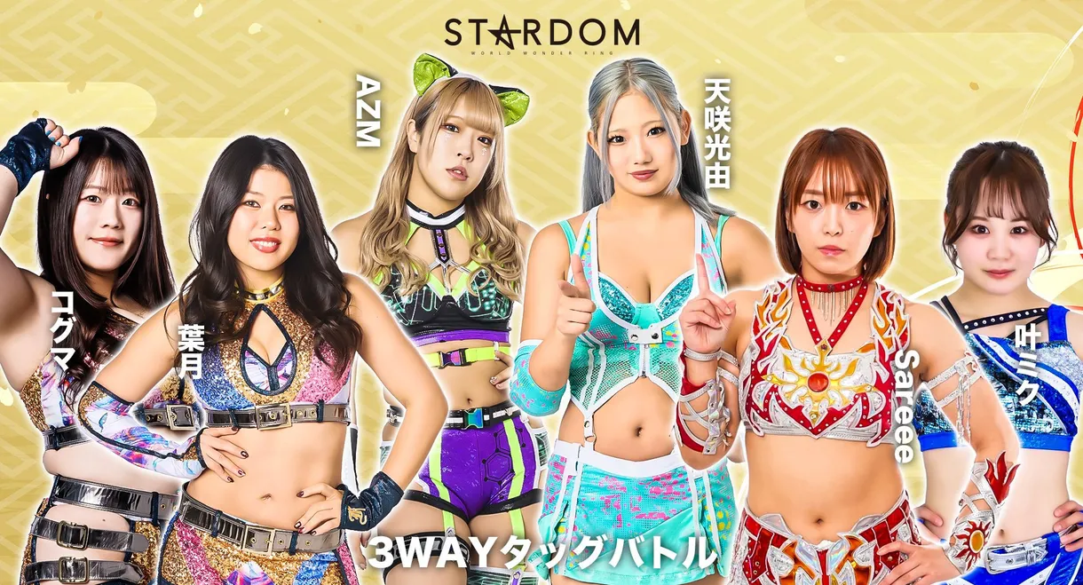 Stardom New Year Dream 2026〜Day〜