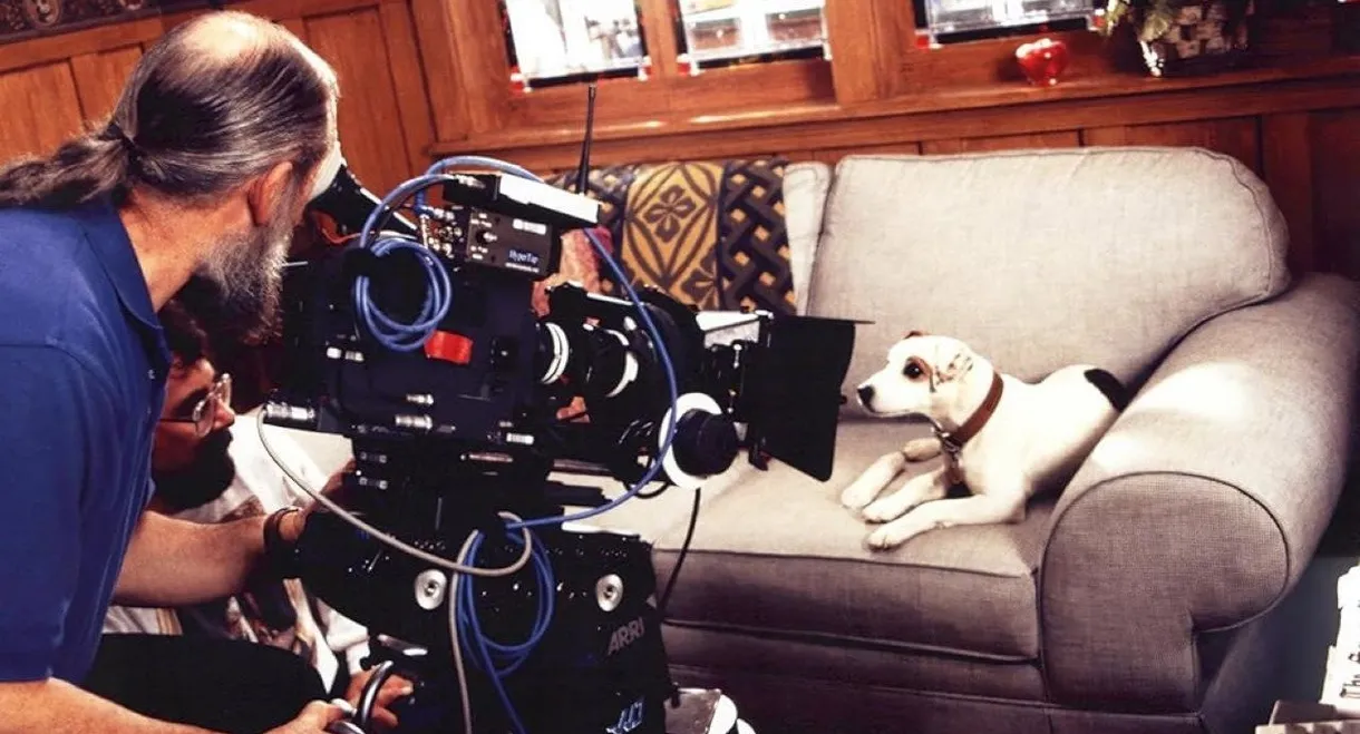 What's the Story, Wishbone?