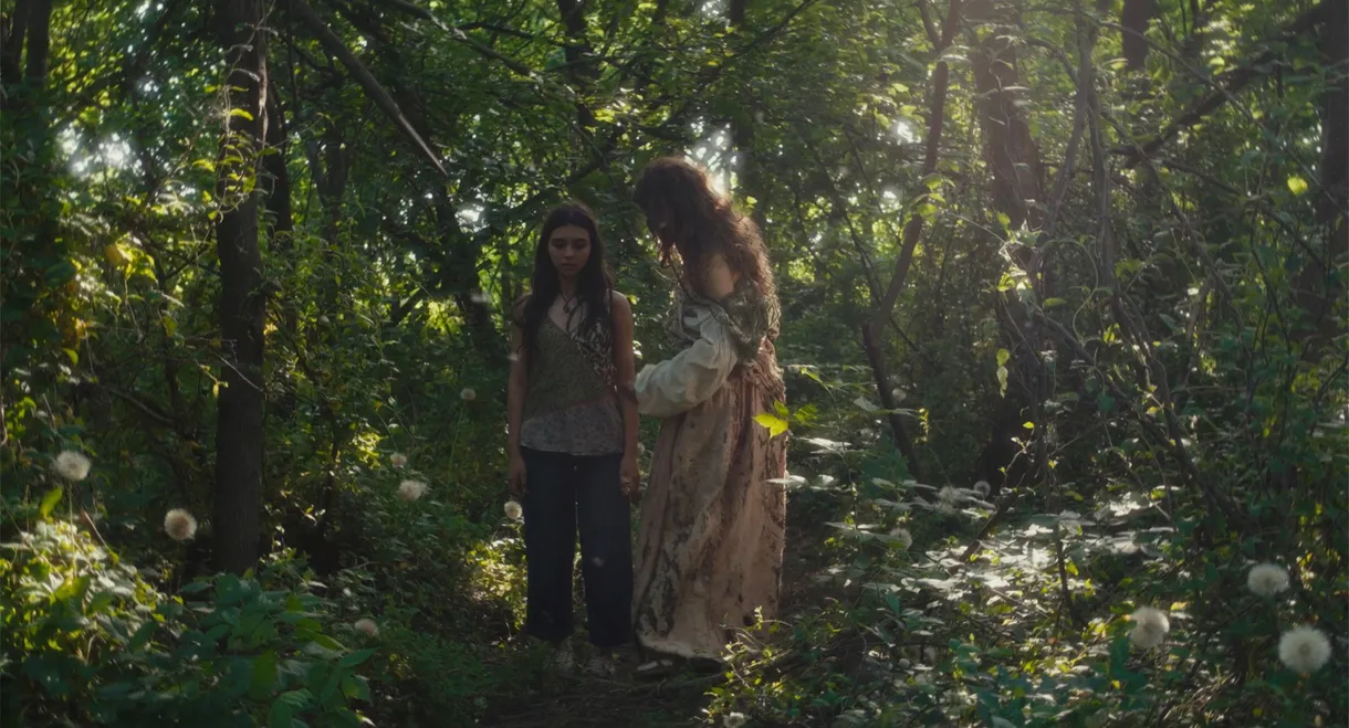 Donde Nacen Las Flores