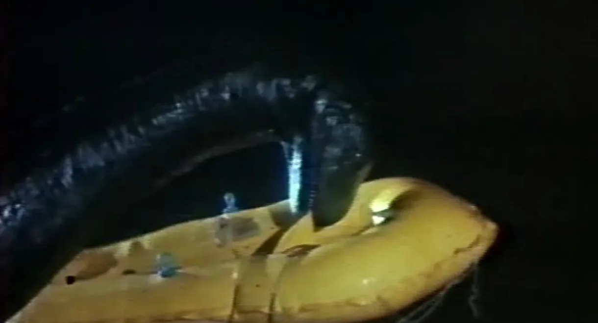 The Loch Ness Horror