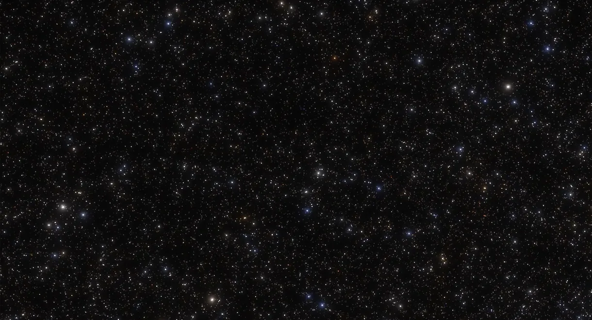 MiP: The Journey Across the Universe