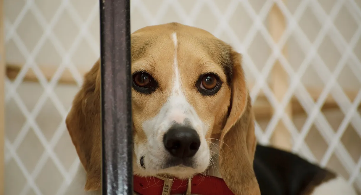 Undercover. Inside the Bunker