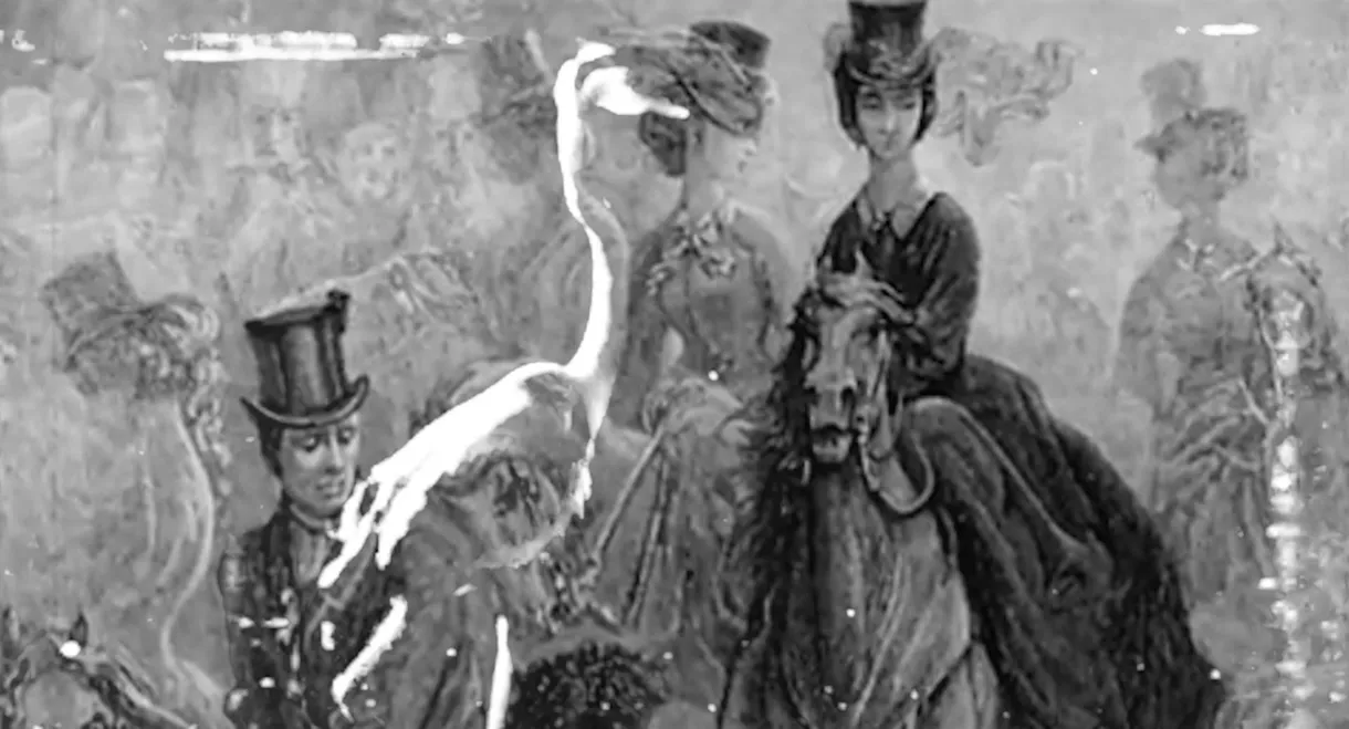 Some Thoughts On The Common Toad