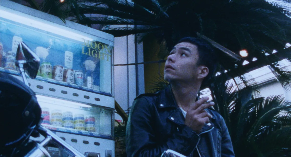 Looking for an Angel