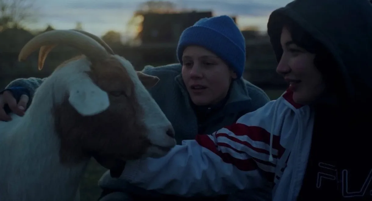 Ninja Motherf*cking Destruction