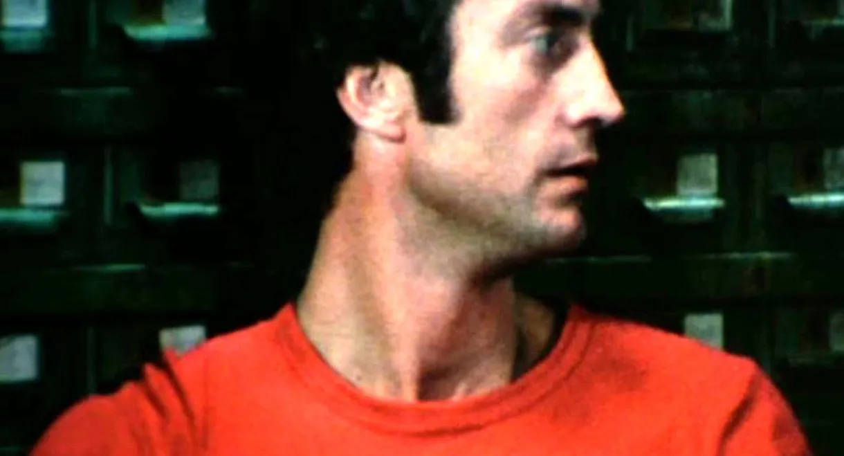 The Love Letters from Teralba Road