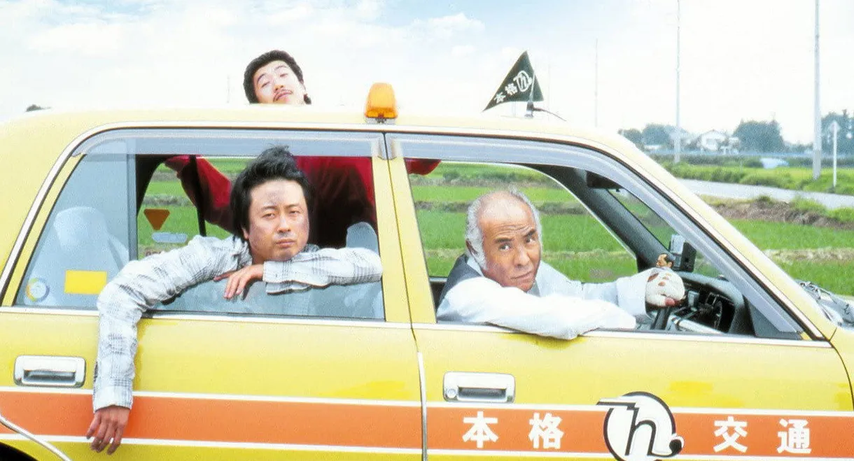 Looking for Cherry Blossoms