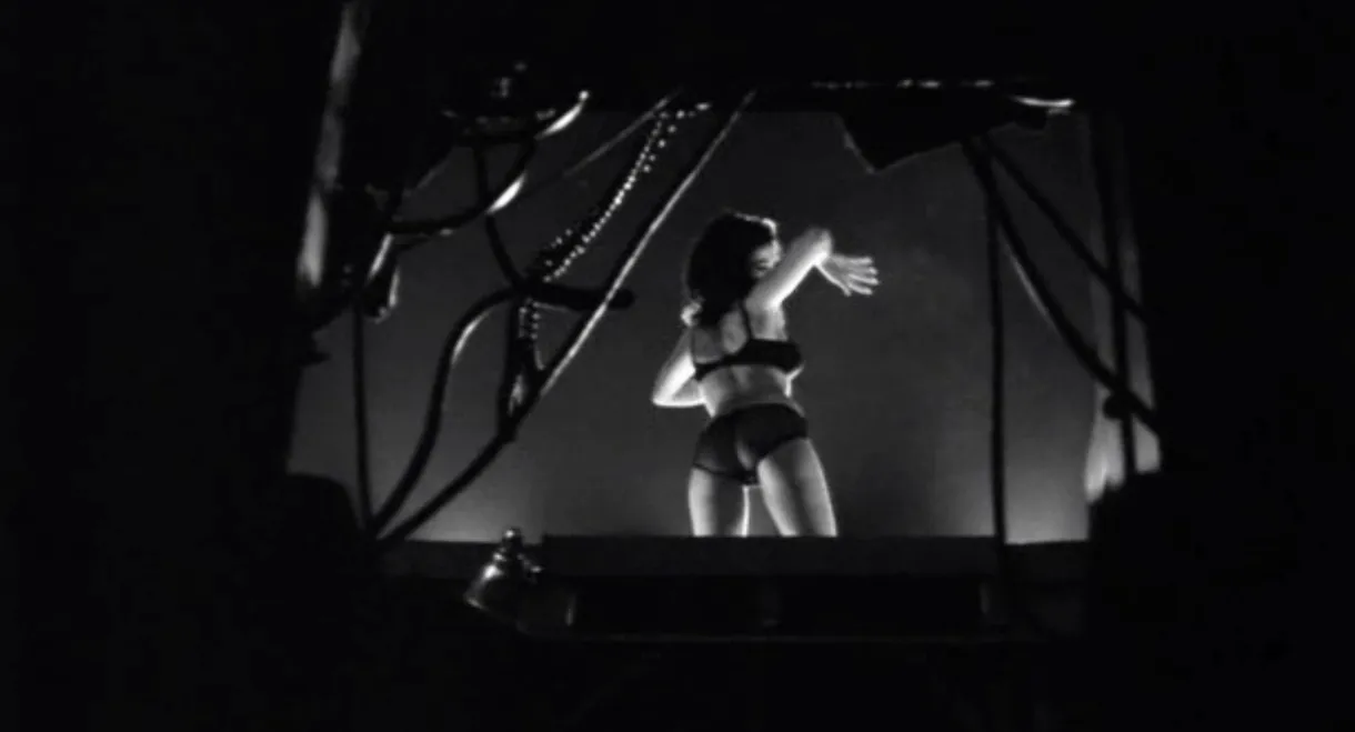 The Touch of Her Flesh