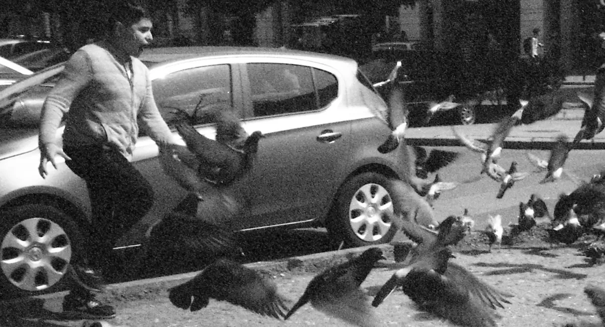 Rekviem egy galambért