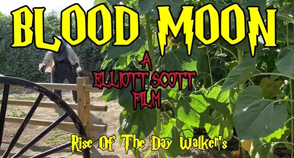 Blood Moon