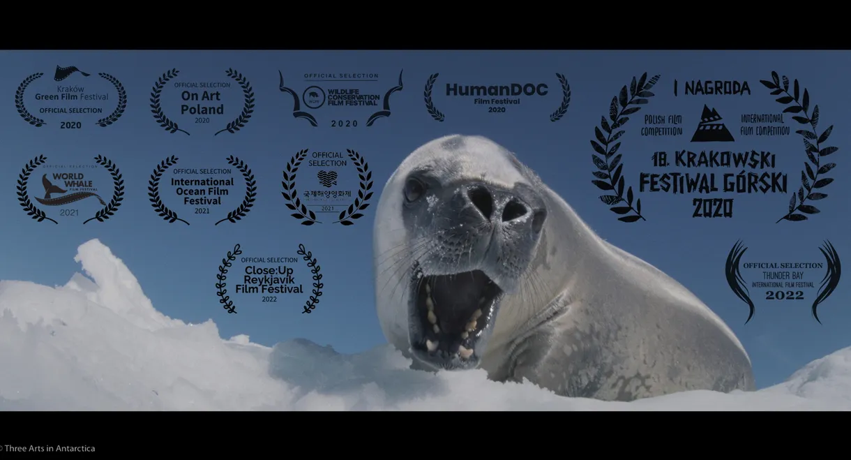 Three Arts in Antarctica