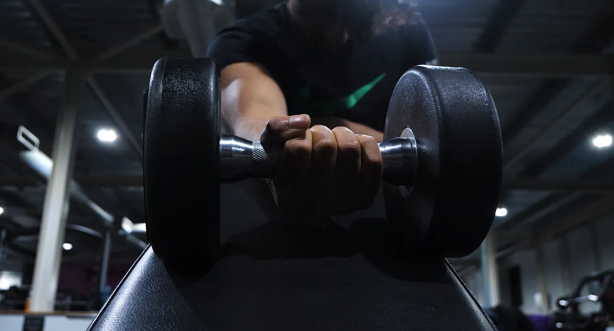 The Anthology of the Night