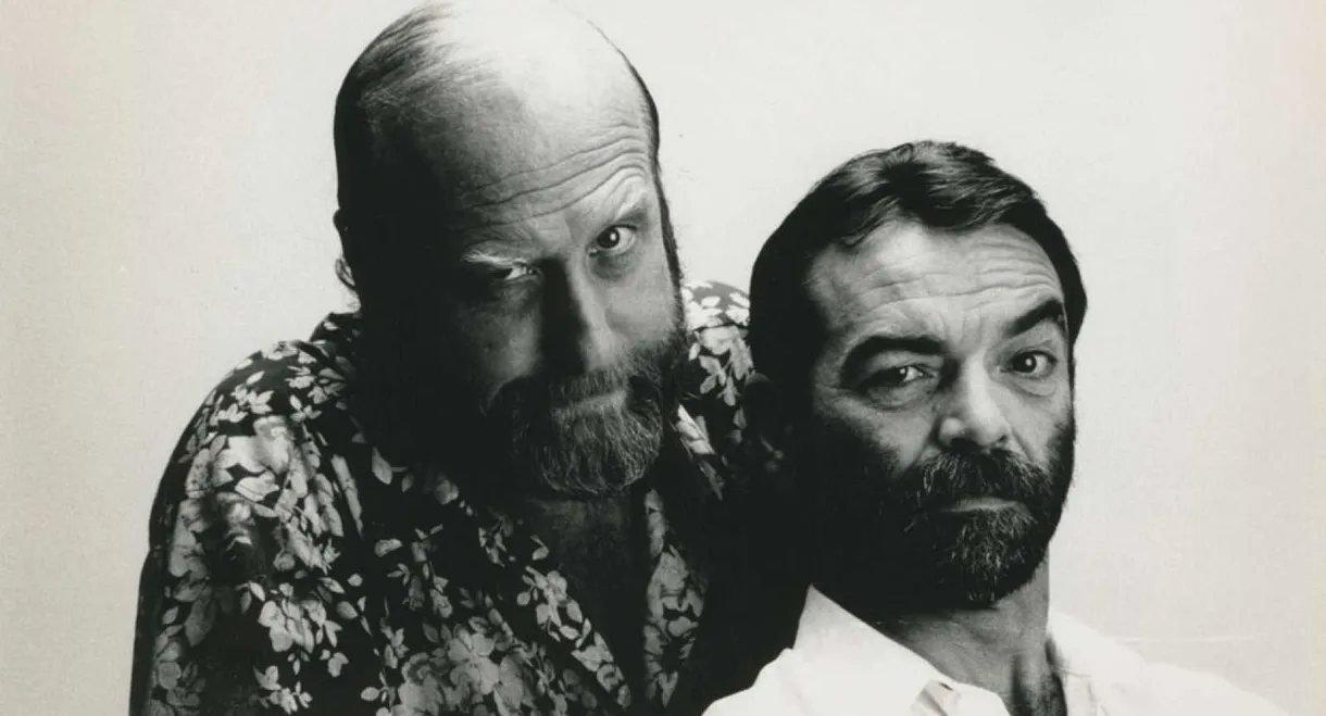 Si te he visto no me acuerdo