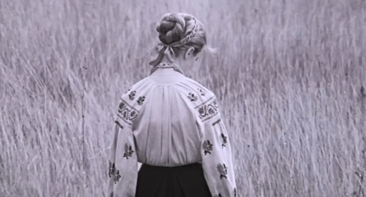 I'm Coming to You...