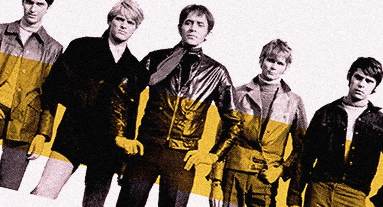 Operasjon V for vanvidd