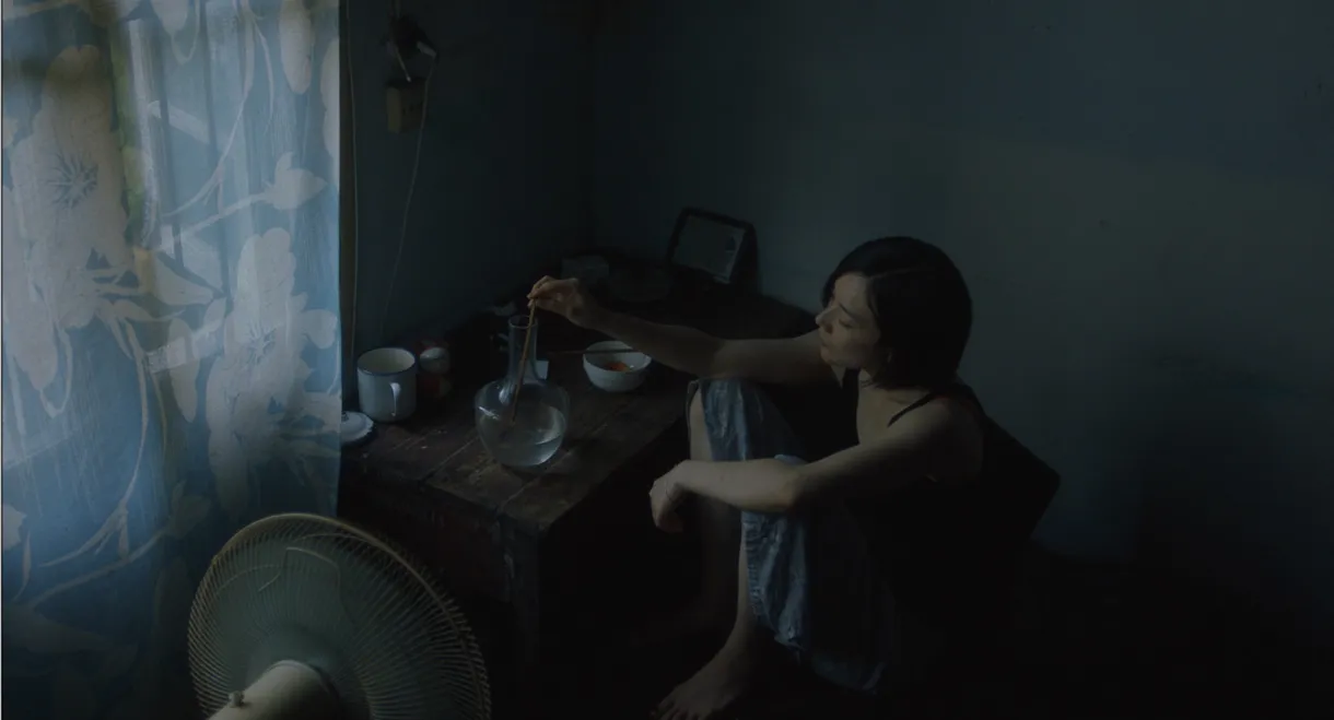 What Do You Know About the Water and the Moon