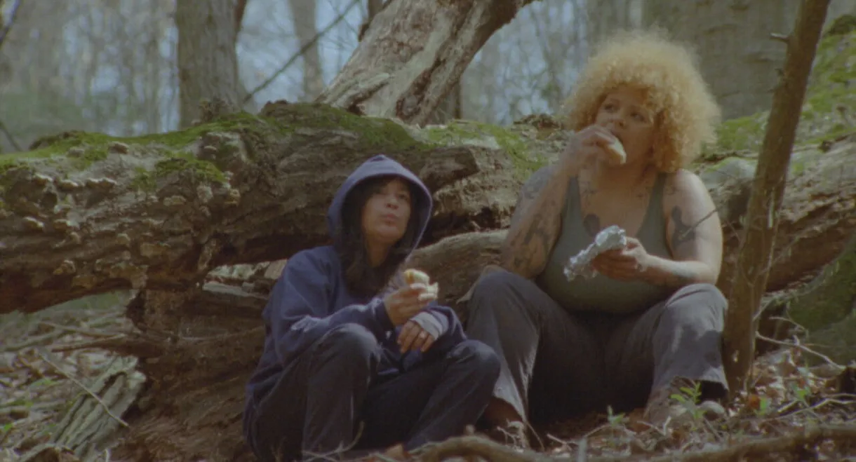 More Beautiful Perversions