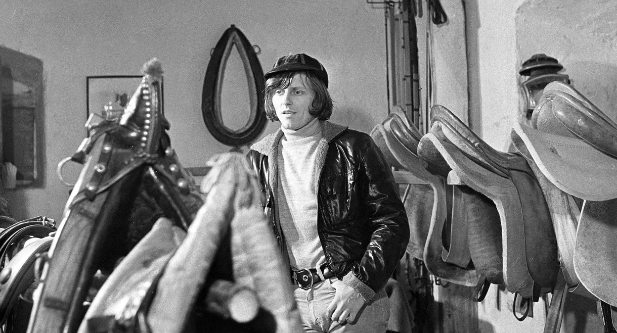 Perla, příběh koně