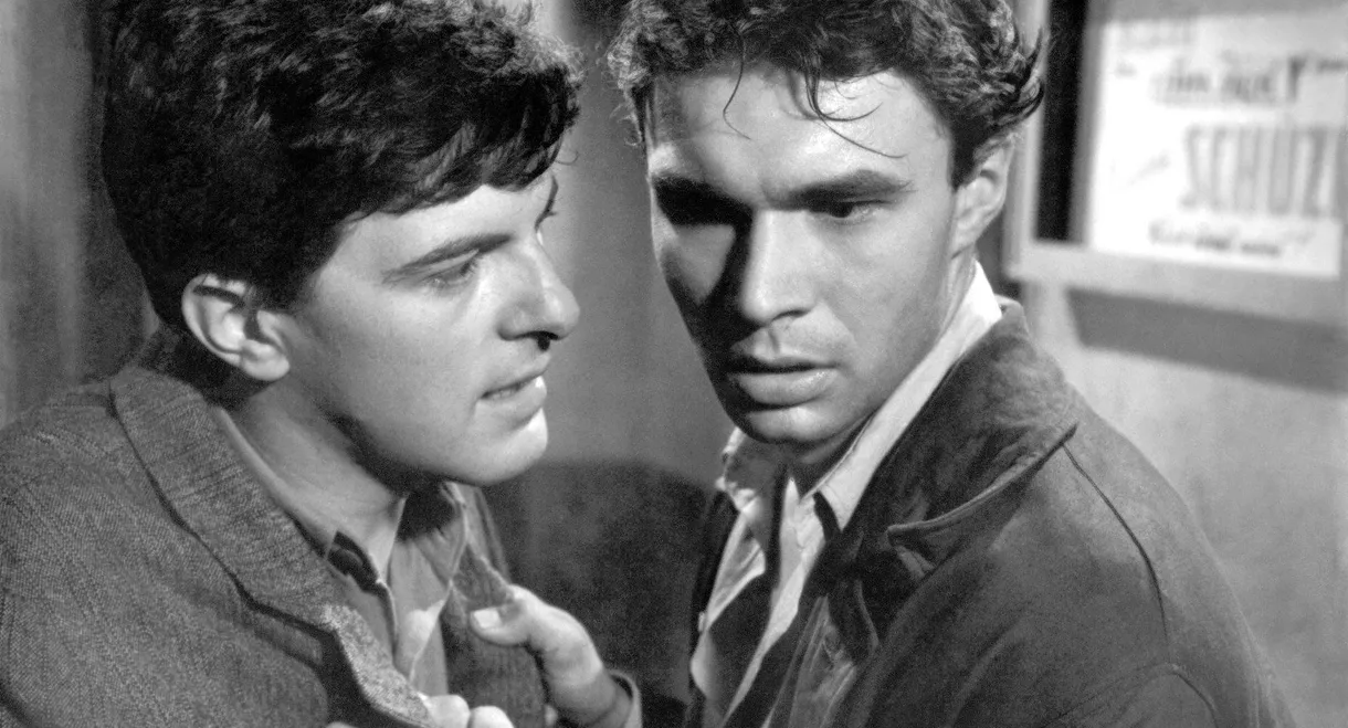 Passing Through a Thick Forest