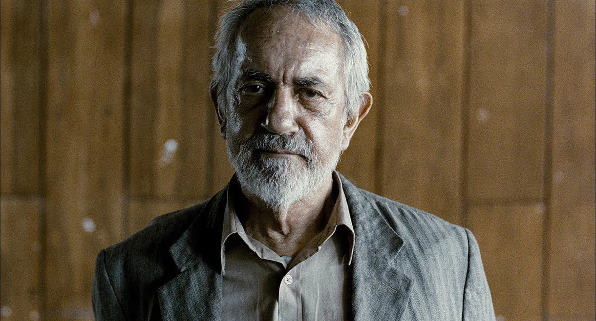 All Paulos in the World - Paulo José
