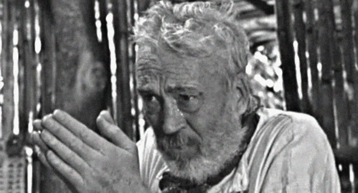 The Bridge in the Jungle