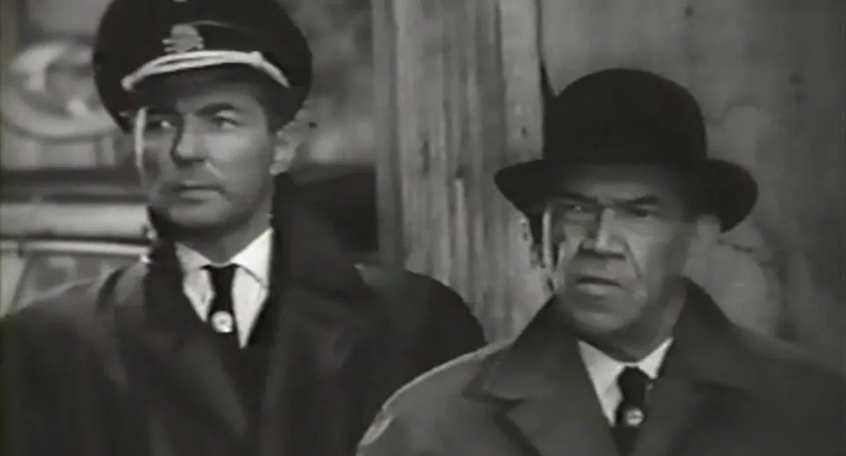 Don't Shoot on the 26-th