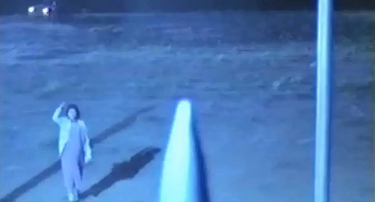 The Lightning Incident