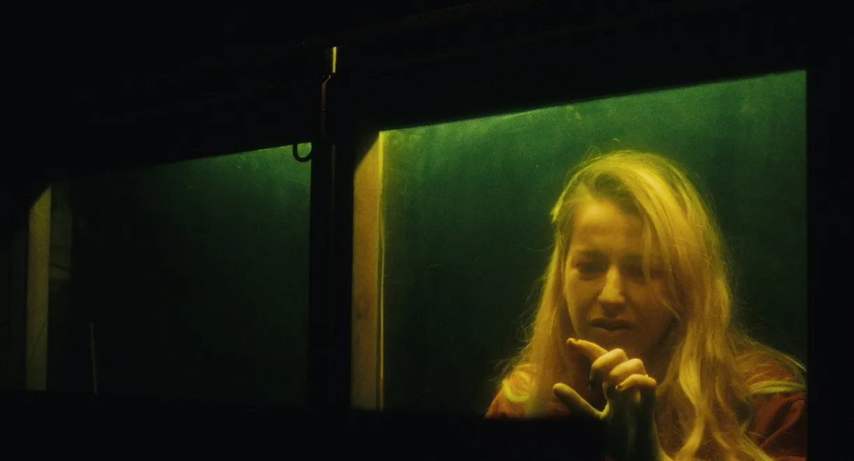 Mimi au pays du métal