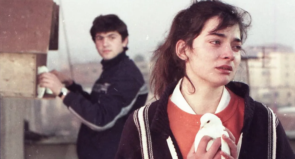 Një djalë edhe një vajzë