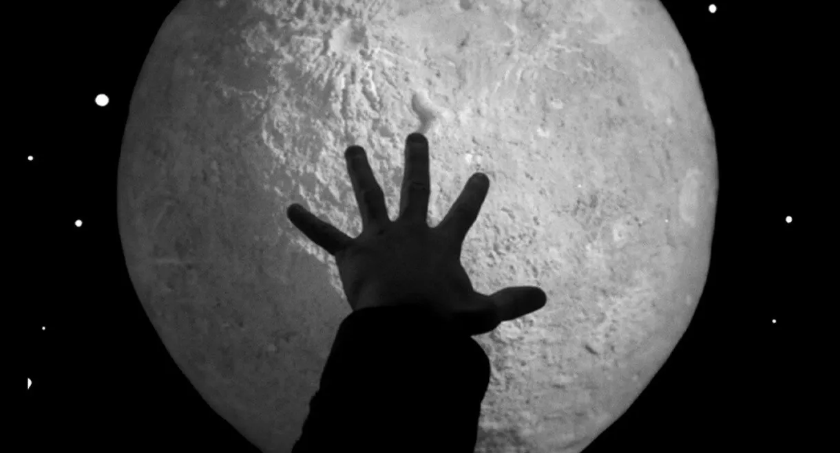 Captain Bartleby Loves the Moon