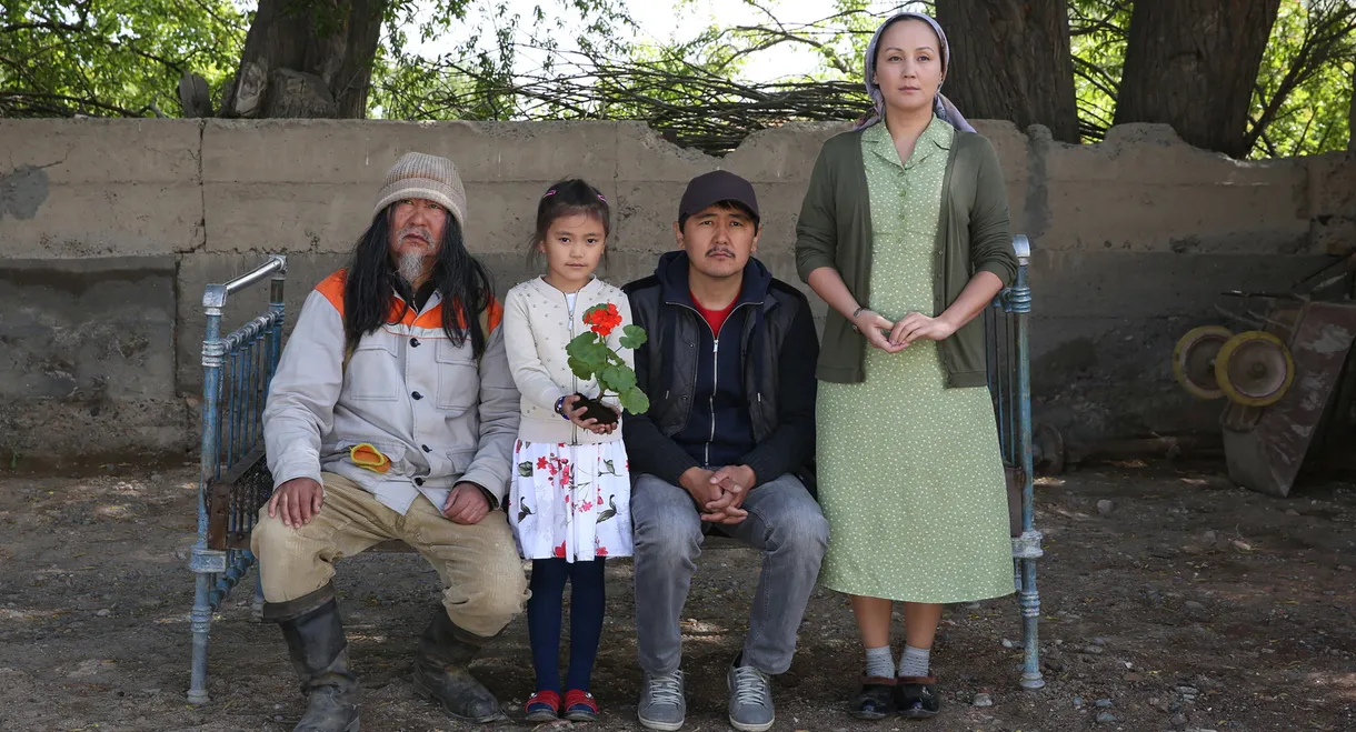 This Is What I Remember