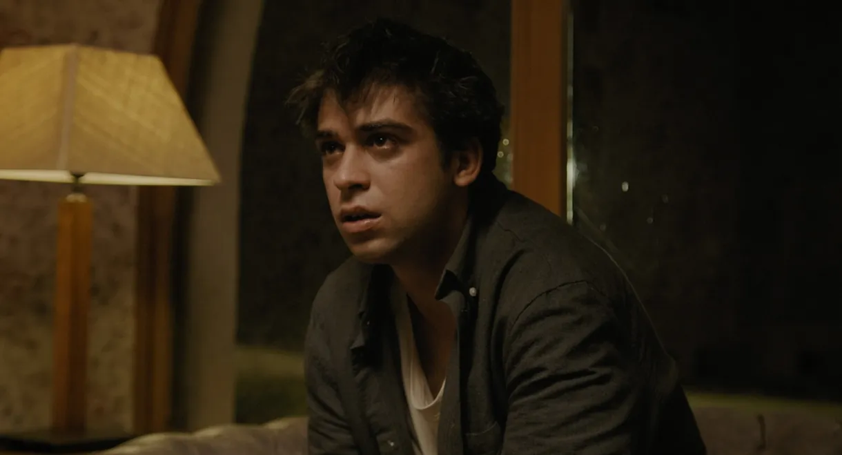 Birds Don’t Fly at Night