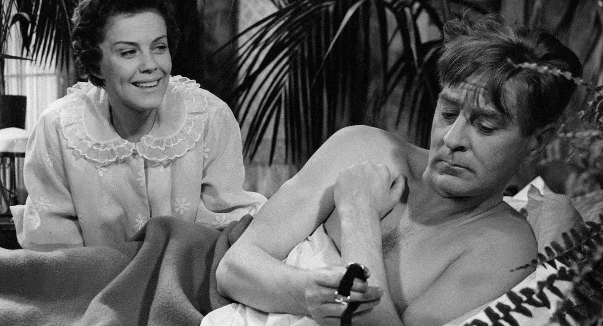 You Are My Adventure