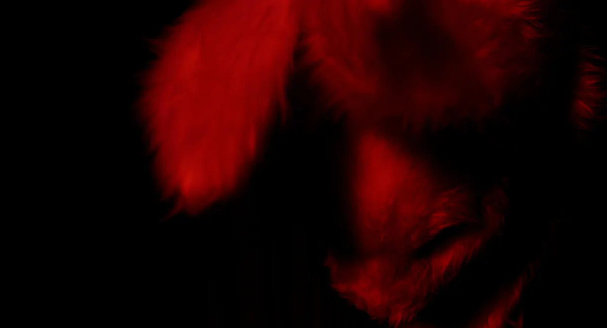 Machines For Living In