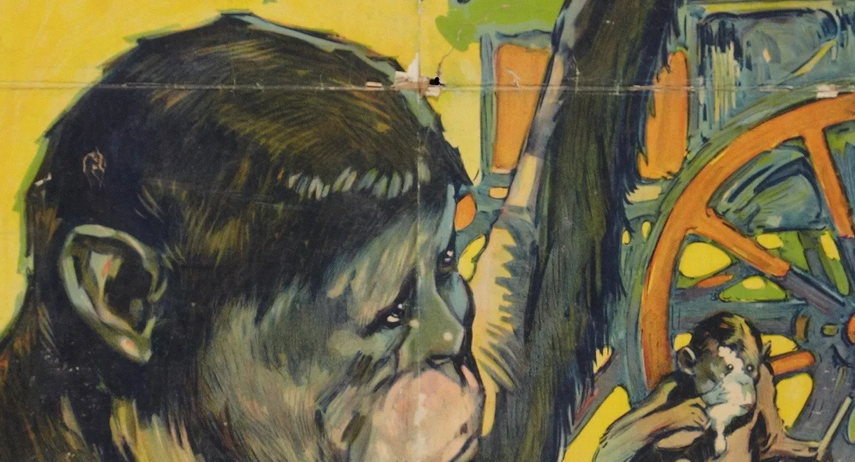 Miracles of the Jungle