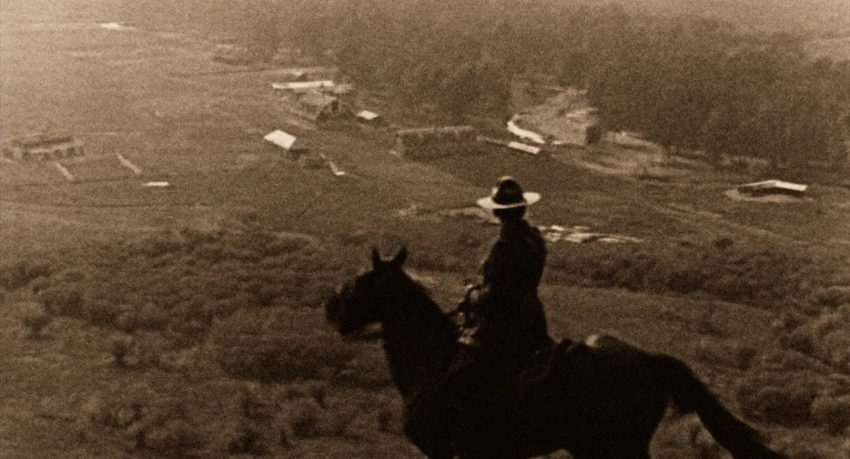 The Calgary Stampede