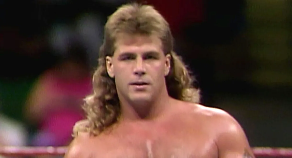 Shawn Michaels: Hits from the Heartbreak Kid