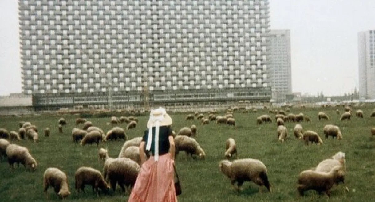 Liebe, so schön wie Liebe