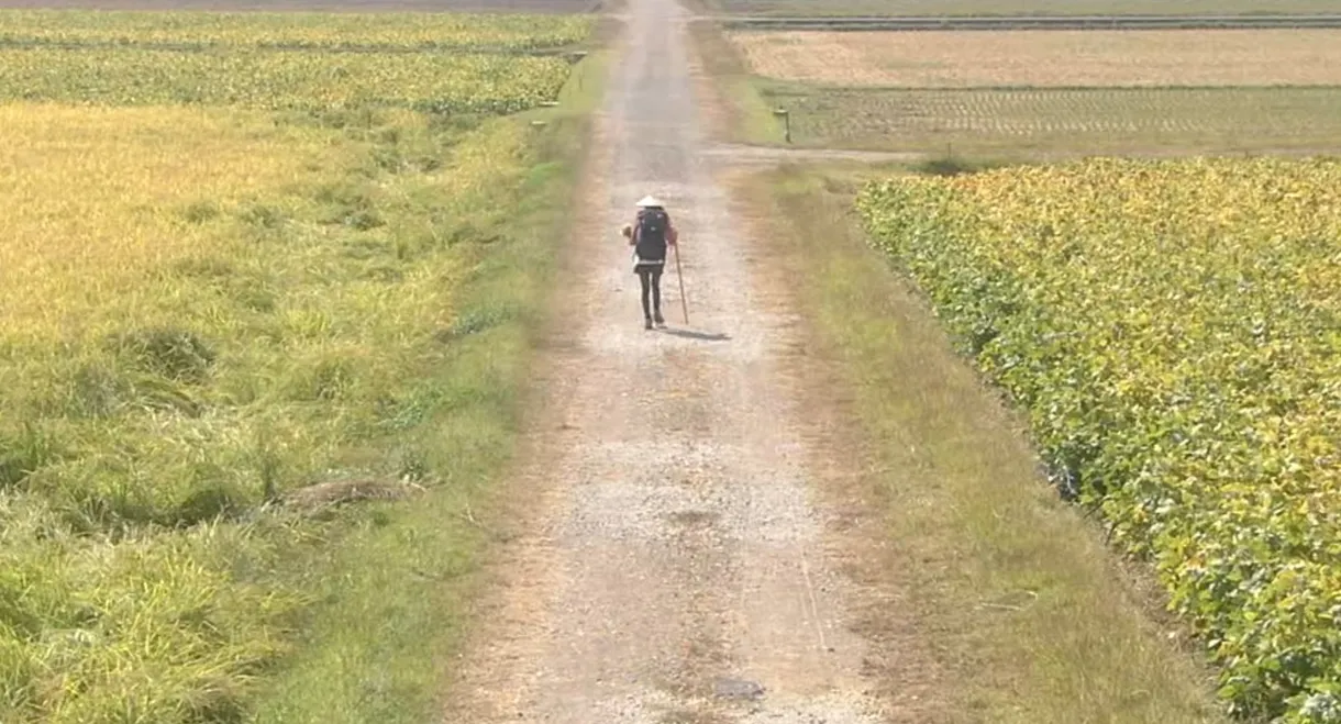 Walk, Walk, Walk ~ Shikoku Pilgrimage Journey