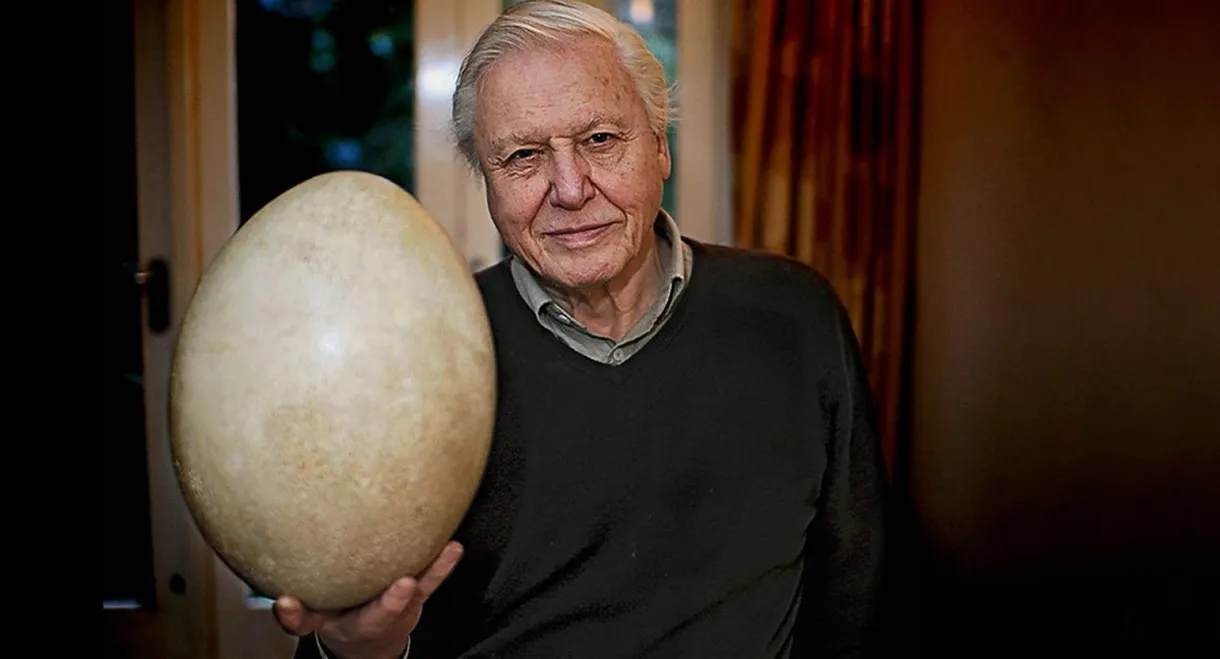 Attenborough and the Giant Egg