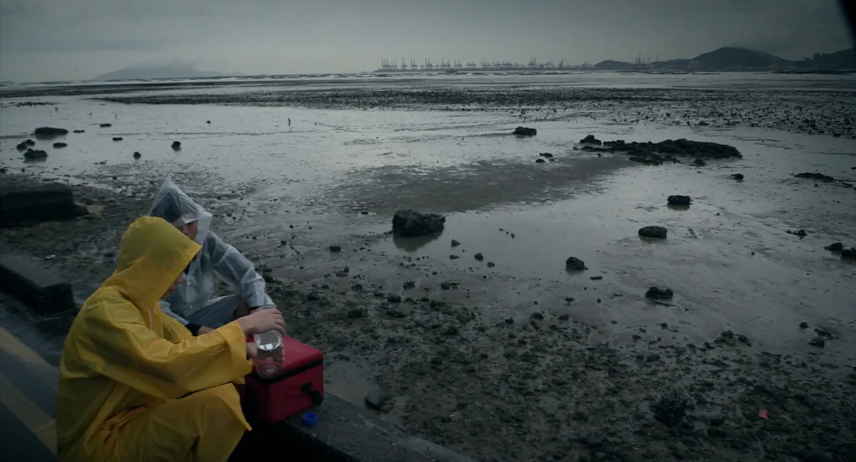 Being Rain: Representation and Will