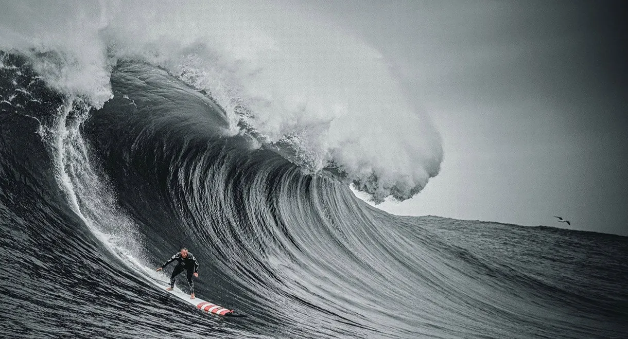 The Secret Life of Waves