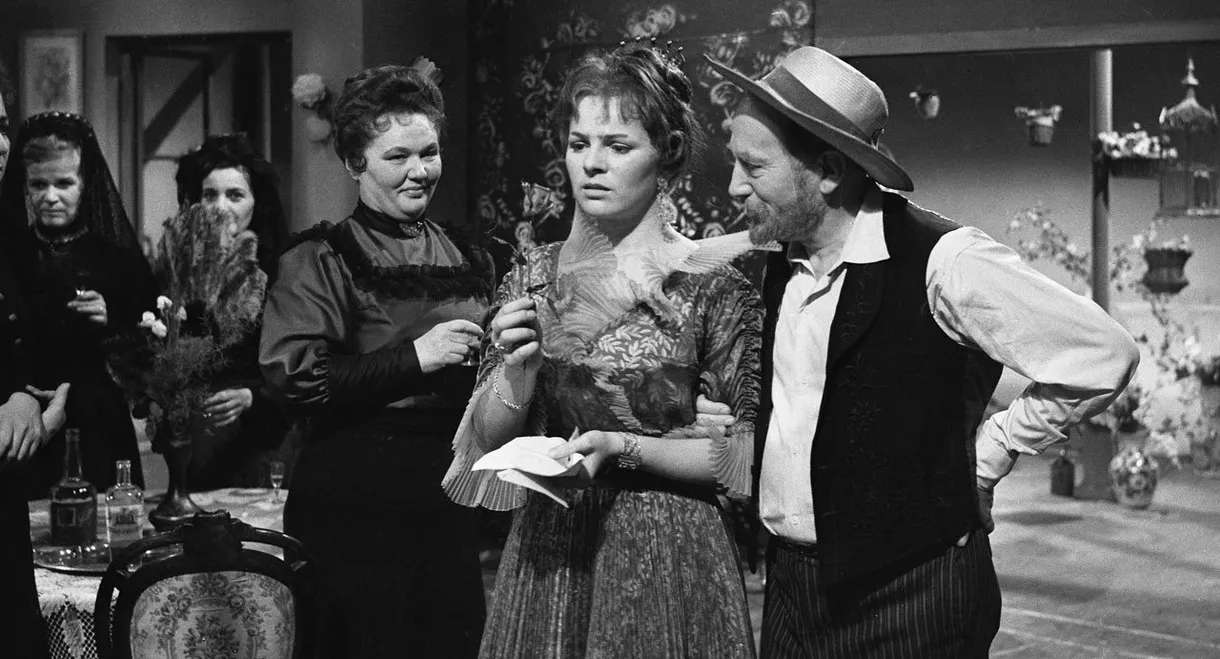 Neprovdaná paní Rosita