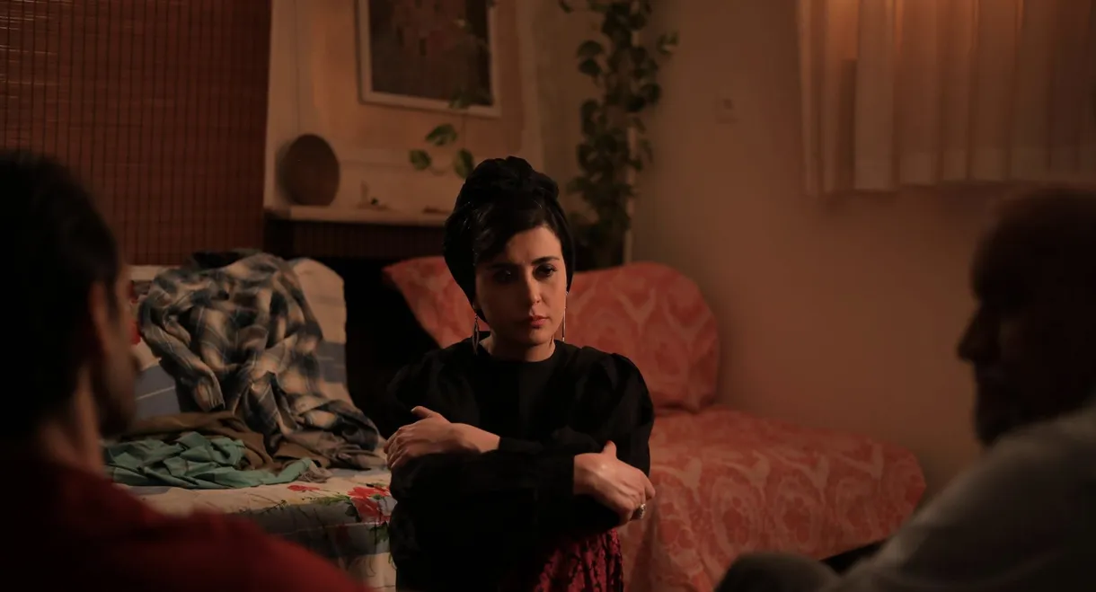 The Milky Way Galaxy