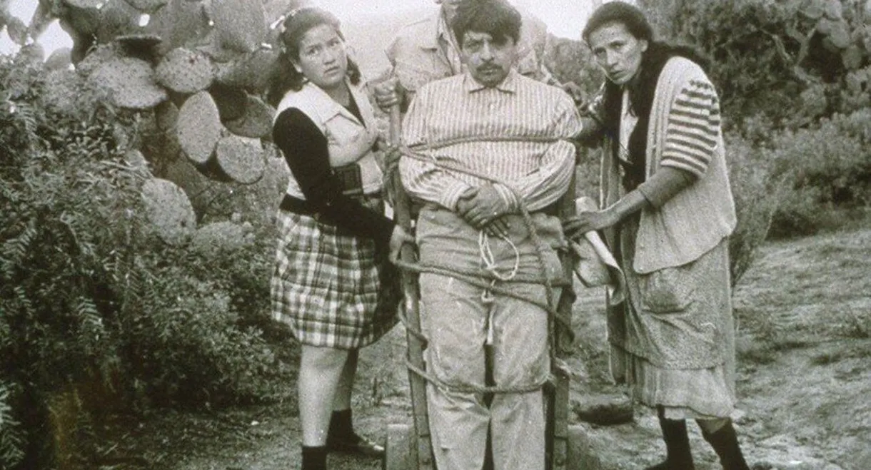 The Ruination of Men